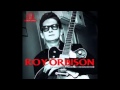 Fools Hall Of Fame  -  Roy Orbison