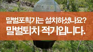 말벌포획기 설치하셨나요. 지금이 말벌퇴치의 적기입니다.