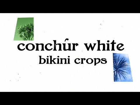 Conchúr White - Bikini Crops