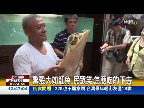 鱉壽命
