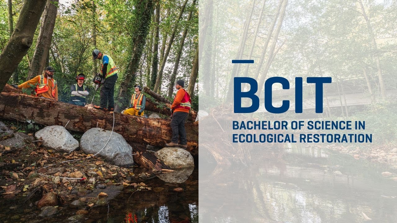 BCIT | Bachelor of Science in Ecological Restoration