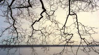 Milo Greene | Autumn Tree