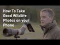 How to Take (Good) Photos of Wildlife on a Phone | Outside