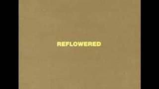 Waldeck, Thist isn´t Maybe (Mushroom Dive´s Fly Push Up 2002)