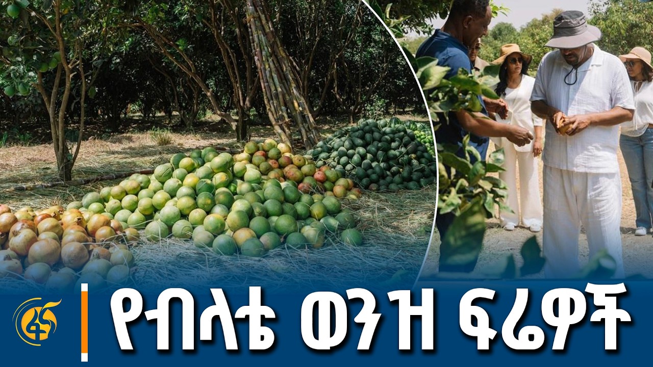 የብላቴ ወንዝ ሰፋፊ የፍራፍሬ ልማቶች