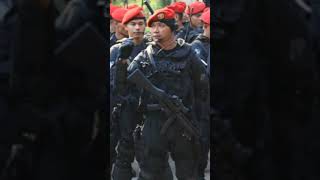 Download lagu Jedag jedug TNI indonesia versi SAT 81 KOPASSUS keren#shorts mp3 Download lagu Jedag jedug TNI indonesia versi SAT 81 KOPASSUS keren#shorts mp3