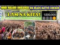 1 5M NAKITA SA NATIVE CHICKEN HINDI MALABO UMASENSO SA PAG AALAGA NG NATIVE CHICKEN