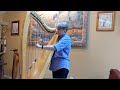 Bridget Cruise 3rd - live - folk harp