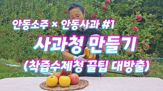 사과청. 착즙수제청 꿀팁 대방출. [안동사과 × 안동소주 콜라보 #1]
