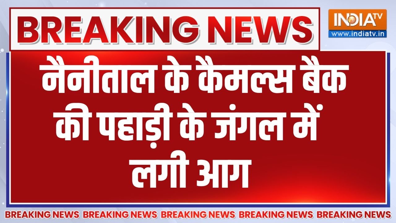 Breaking News: नैनीताल के कैमल्स बैक की पहाड़ी के जंगल में लगी ?