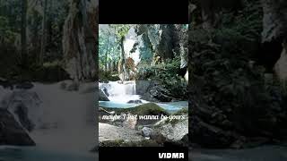 #dreamer #song i wanna be yours#edit