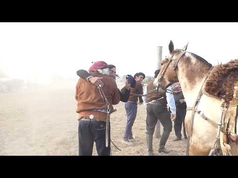 Doma Constanza Santa Fe