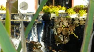 Dizzy - legendada - Sixpence None the Richer