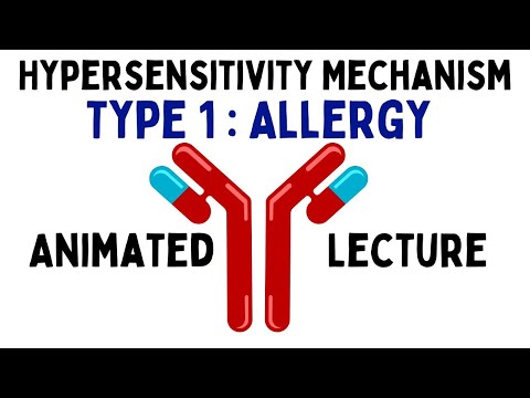 Inflammation animation Steps of inflammatory response Shomu s Biology