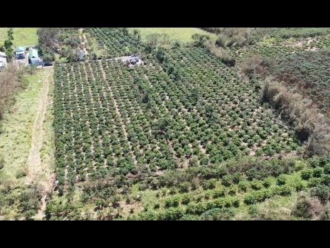 恆春鎮-德和段農地出售 第1張共16張