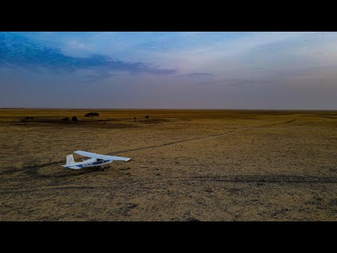 Wings for Conservation | Aircraft | Conservation | Wildlife | Africa | Elephants
