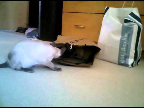 paperbag 20110514 0925