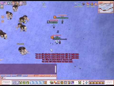 FlyFF -Umbrella Damage Record (PVM)