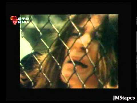 BICHOS - ADELAIDE FERREIRA