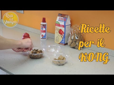 Tintura per le articolazioni e galangal Stiramento ginnastica legamenti dellanca