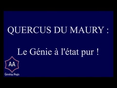 download lagu mp3 mp4 Quercus Du Maury, download lagu Quercus Du Maury gratis, unduh video klip Quercus Du Maury