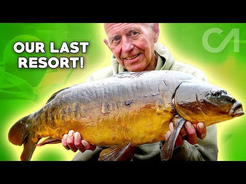 First Carp In 20 YEARS?! - Fishing With Lee Jackson