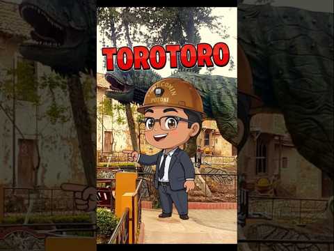 Te cuento sobre TOROTORO Potosí!!