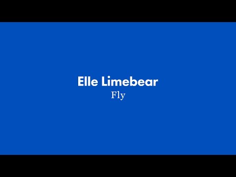 Thumbnail for Fly video