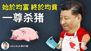 Re: [新聞] 趙薇才被下架！林心如工作室突傳遭註銷　