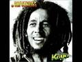 Everybody loves Bob Marley - Macka B
