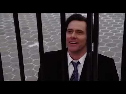 Mr. Popper’s Penguins- Penguin Is Flying