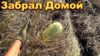 Забрал находку домой. Все покажу.