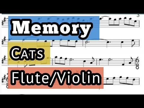 Memory I Flute or Violin I Sheet Music Backing Track Play Along Partitura I Cats