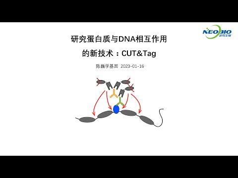 【陈巍学基因】第101期：研究蛋白质与DNA相互作用的新技术：CUT&Tag