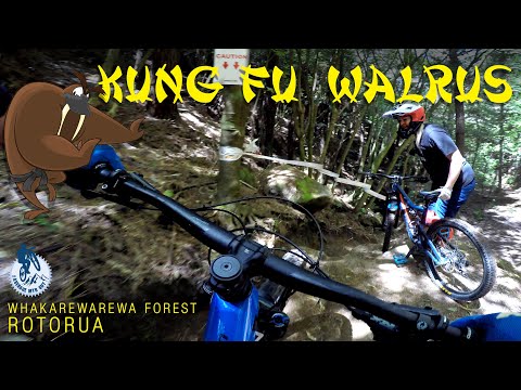 Kung Fu Walrus  ||  Whakarewarewa Forest, Rotorua  [Ep#87]
