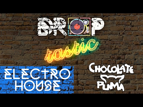 [Electro House] ♫ Best of Chocolate Puma Megamix ♫