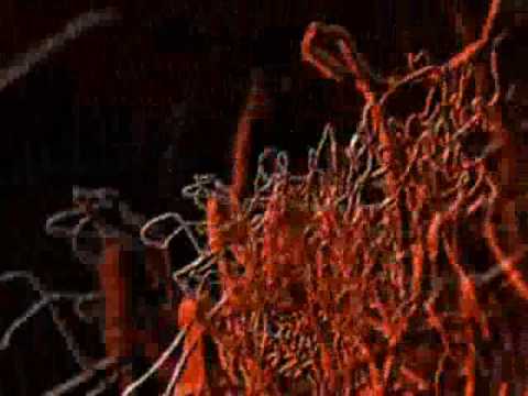 DJ HaKKi - LaST paRTY CraSHeR