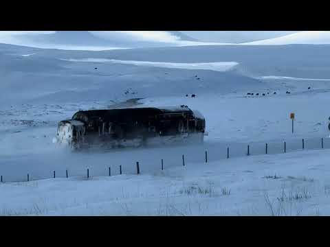 37685 at Kinbrace Monday 5th January 2026