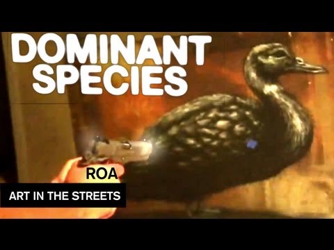 video:Dominant Species by ROA - Art in the Streets - MOCAtv Ep. 8