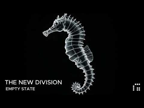 The New Division - Empty State