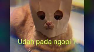 Download lagu Daripada bengong @status whatsapp ngopi🤔 mp3