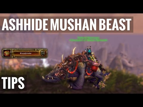 Journey to Ashhide Mushan Beast + Tips on Farming Bloody Coins