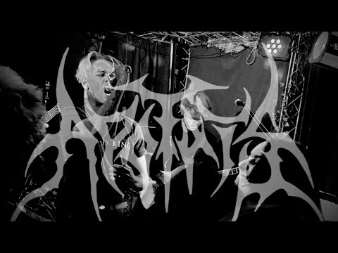 APOTHIS | THE DOGHOUSE | XXVII-VII-MMXXIII