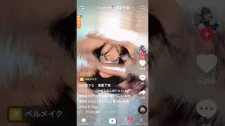 極上ムチムチ黒ビキニ