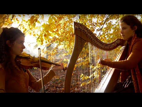 Celtic music - "Brocéliande" and "La Complainte de la Blanche Biche" - Harp and violin