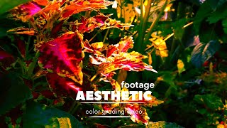 Download lagu CINEMATIC 30 DETIK | STORY WA ESTETIK PAGI || NATURE CINEMATIC VIDEO AESTHETIC BACK SOUND mp3