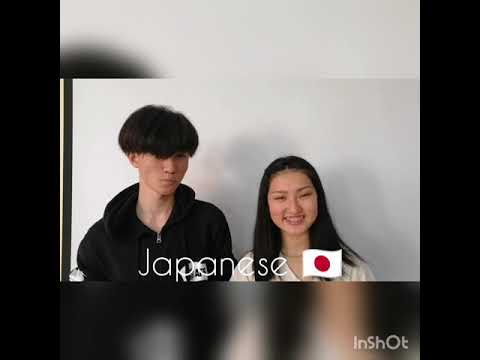 I love you in 12 languages ❤️