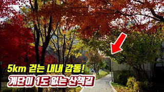 새롭게 개통! 🧑‍🤝‍🧑깊어가는 가을을 함께 걸어요/힐링 트레킹 코스/🚉 대중교통 당일치기 여행