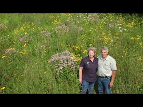 Pollinators NRCS
