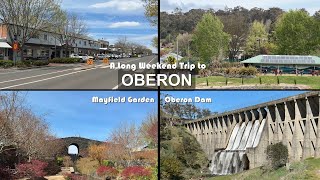 A Sydney Long Weekend Trip to Oberon including Mayfield Garden & Oberon Dam. A Silent Vlog.